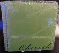 Creative Memories 7 X 7 Green Coverset album CHERISH On Front No Pages NIP