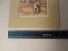 Foto 7 di 8