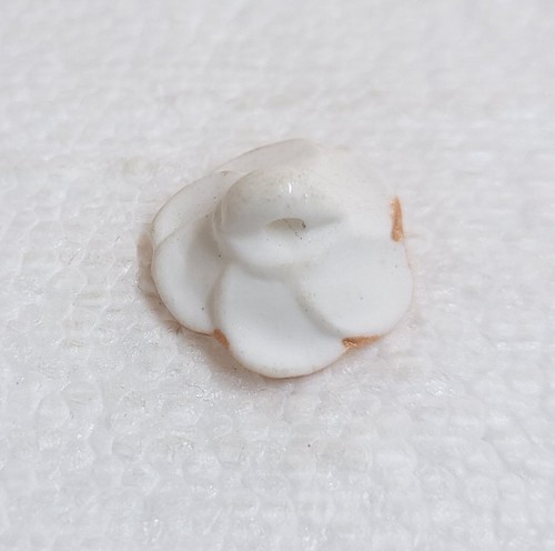 Ceramic Flower Buttons 18mm x 5 Shank White Gold Rim Novelty Sewing Shirt Crafts - Picture 4 of 7