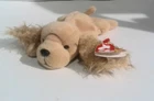 TY Beanie Baby Babies SPUNKY The Cocker Spaniel Dog VINTAGE 1997 Tag Error