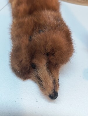 Vintage Mink Stole 4 Pelt Fur 1950' Rare Mouth Clip Box Included