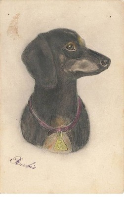 HUNDE #MK46721 TRUG EINEN DACKEL DACKEL