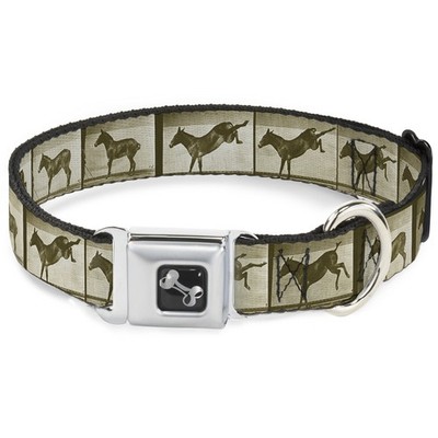 Dog Collar Bone Bucking Donkey Vintage Film Strip Small 9.5-13'' (US IMPORT)