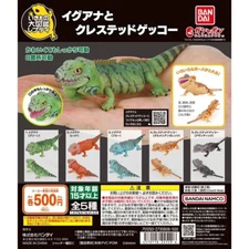 iguana complete set 5 capsule toy Gacha JAPAN JP Shipping Free NEW