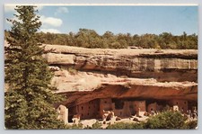 Postcard Spruce Tree Run Mesa Verde National Park Colorado