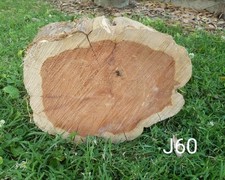 RED CEDAR WOOD COOKIE 12X10x4 Live Edge, Solid Piece