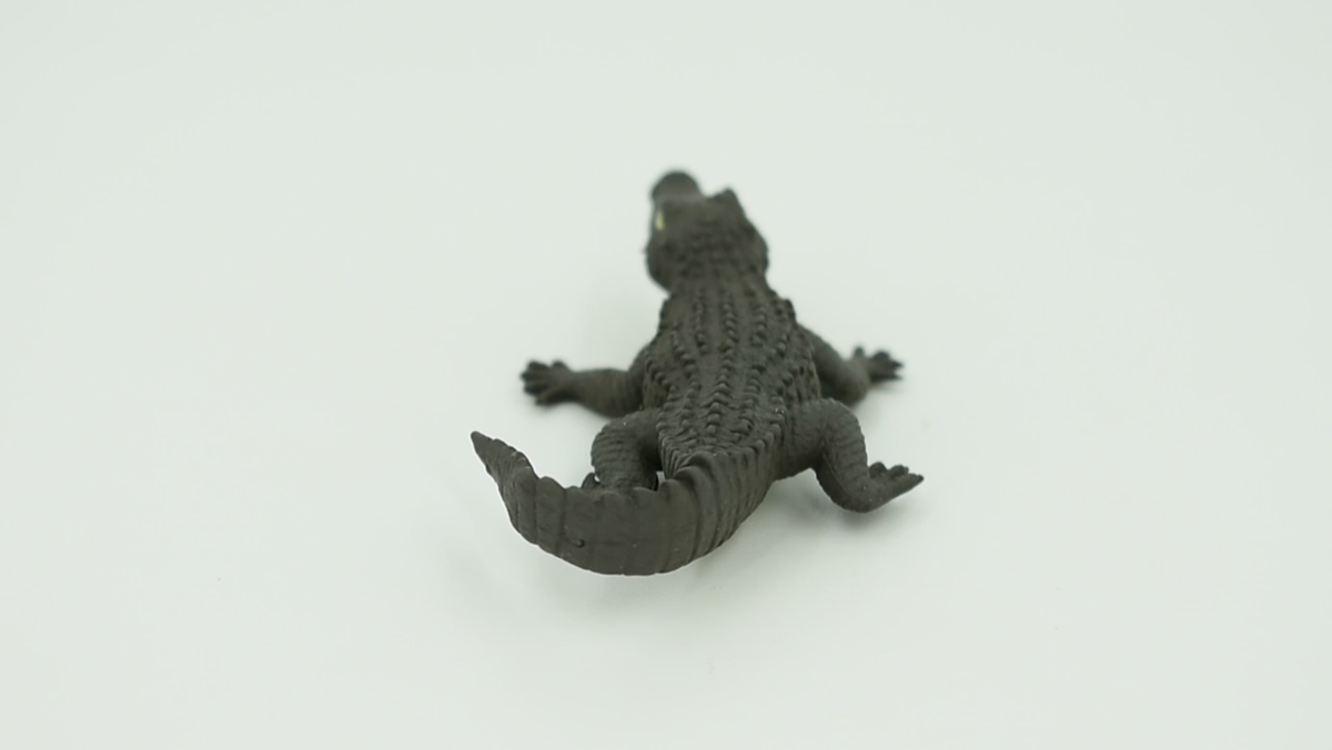 Alligator, Rubber Toy, Realistic Figure, Model, Replica, Kids