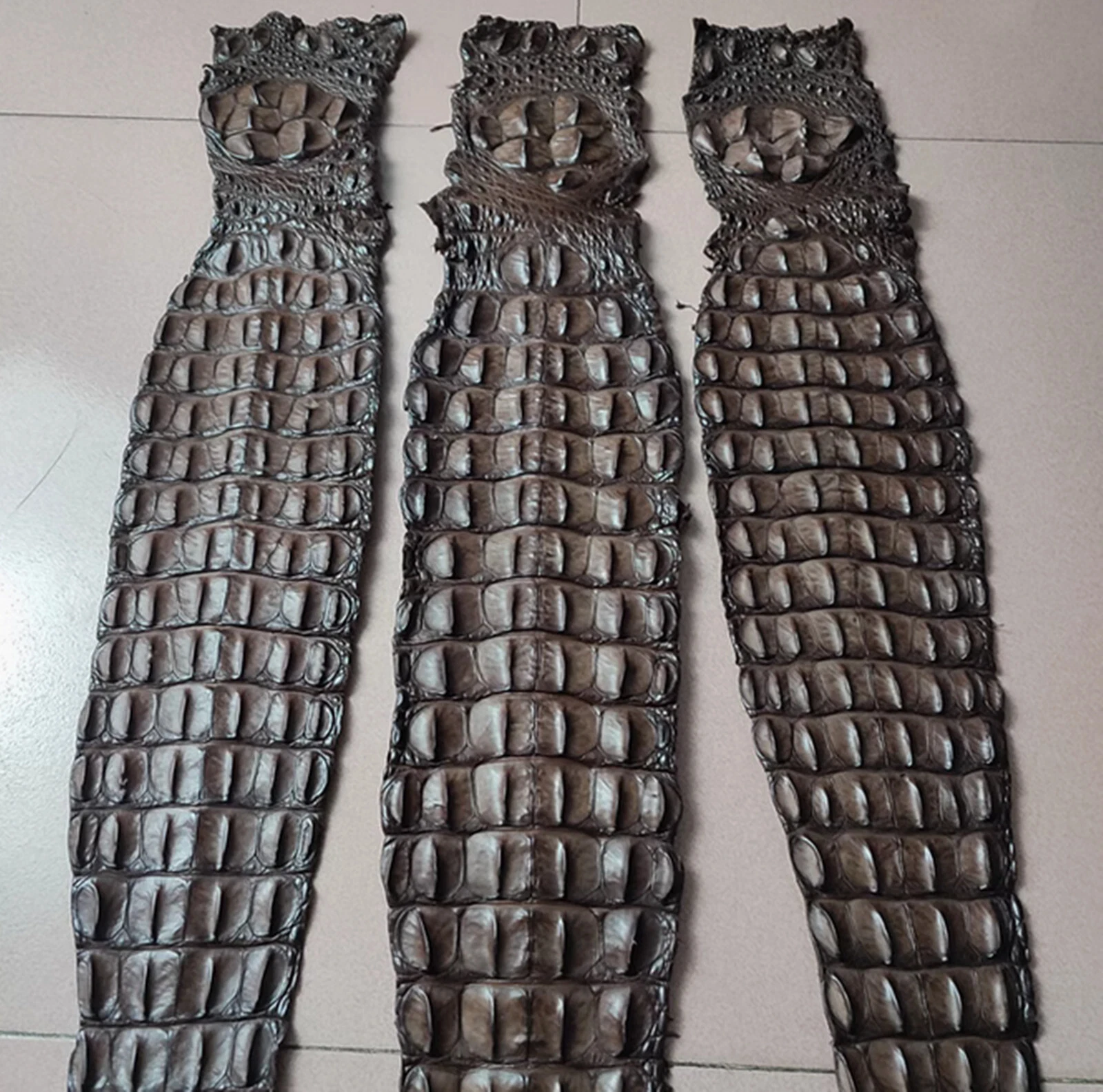 Genuine Crocodile Skin Leather Back Strap Hide Brown 51 x 4.75"