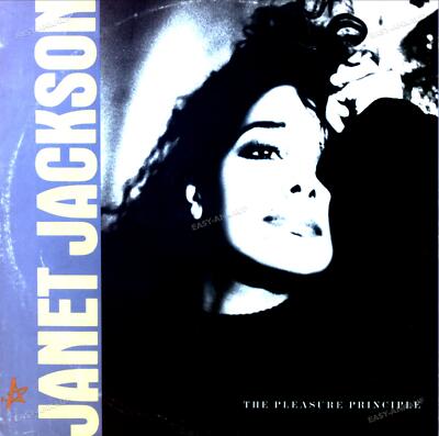 Janet Jackson - The Pleasure Principle Maxi (VG/VG) .