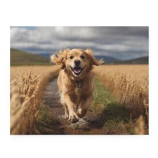 Puzzle (120, 252, 500-Piece)