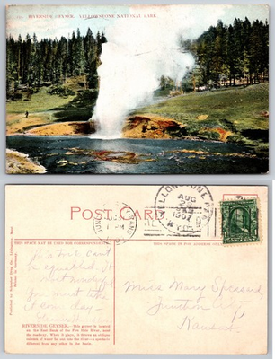 #ad Riverside Geyser Yellowstone National Park Postcard $3.99