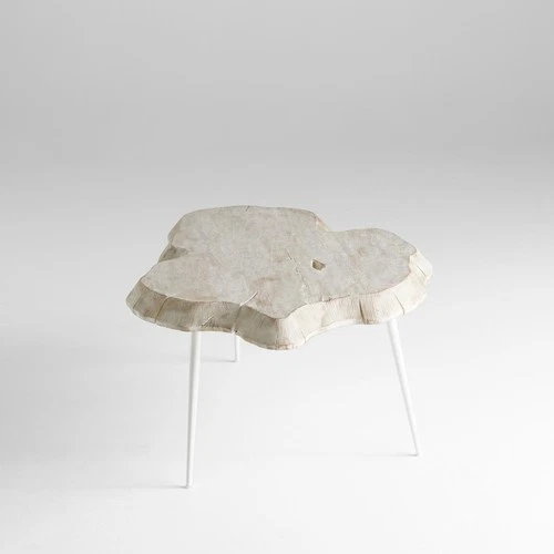 Cyan Design 11342 Palmer 46 X 32 inch Whitewash Coffee Table - Picture 2 of 5