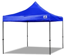 10'x10' Oxford Pop Up Tent Canopy w Wheel Bag & Sand Bags - 5 Colors - DS Model
