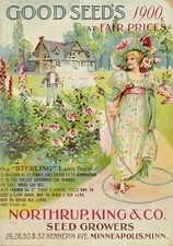 Vintage Seed Catalog Poster Advertising Advert retro wall print deco gift