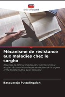 Basavaraju Puttalingaiah | MéCanisme De RéSistance Aux Maladies Chez Le Sorgho