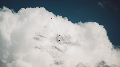 Anime Photography Nature Clouds Birds Outdoors Sky  Gaming Mat Desk 8112