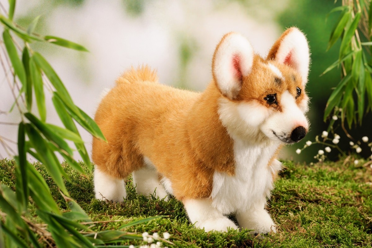 Welsh Corgi Dog by Kosen / Kösen - exquisite collectable