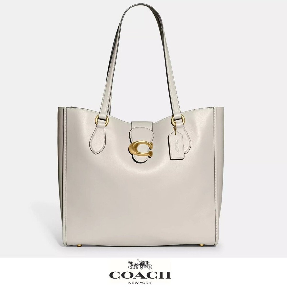 NWT 🥰 Coach Theo Tote Bag | eBay