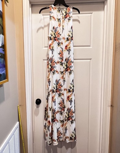 Haute Hippie Maxi Dress Size 4 Jane Ivory Floral Sleeveless $475 - Picture 10 of 10