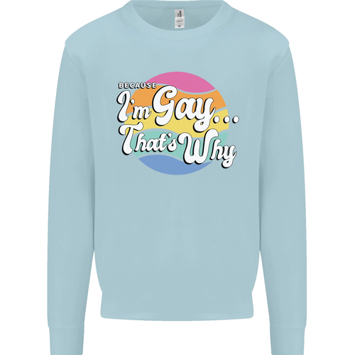 LGBT Im Gay Thats Why Pride Awareness Kids Sweatshirt Jumper - Picture 64 of 92