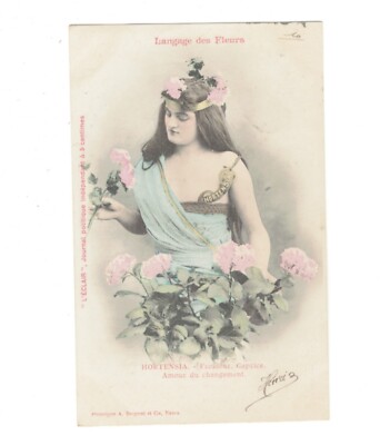 SE1046  THE LANGUAGE OF FLOWERS '''' HORTENSIA    ''''  1903  PRINTED