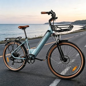 Electric Fahrrad | eBay.de