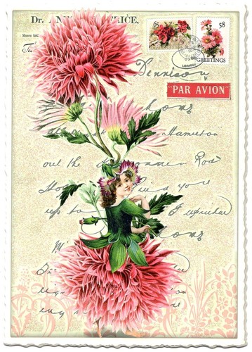Edition Tausendschön | Postkarte A6 | Flora & Fauna | Motiv wählbar - Bild 26 von 78