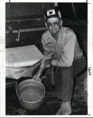 1988 Press Photo Paul Leimbach Vermillion Pea Farmer Displays Peas in a Pot