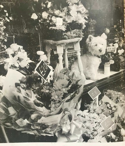 Corona omaggio lettera fiore funerale seta artificiale Bestdad doppio nastro - Foto 3 di 3