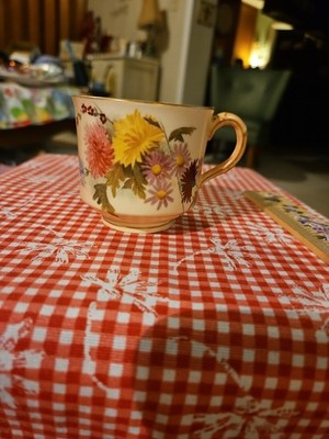 Antique Royal Worcester 2¾'' Cup Bone ChinaIvory Blush, Floral Pattern