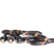 Package of Small Incredibly Realistic Artificial Finger Egg