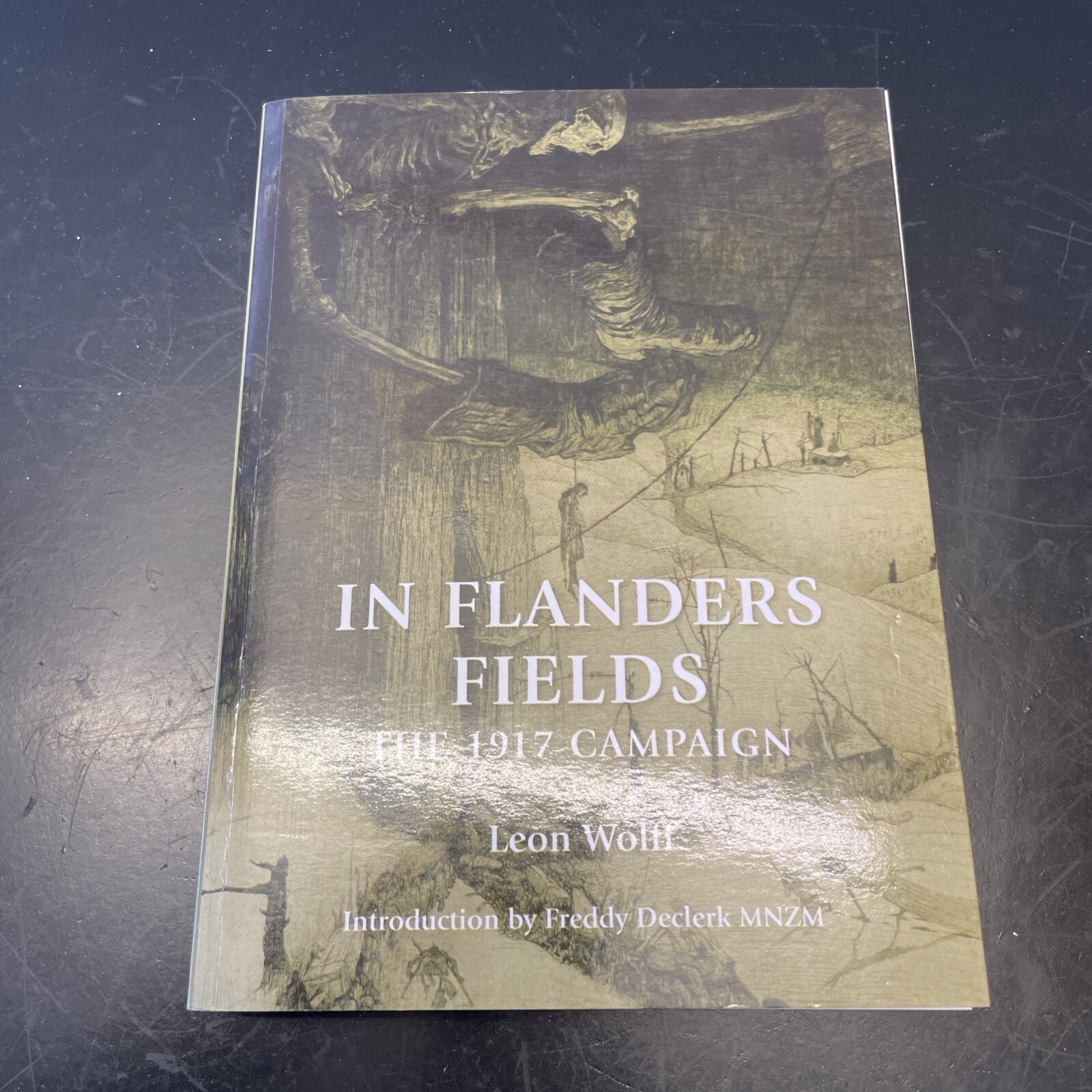 In Flanders Fields: The 1917 Campaign by Leon Wolff (Paperback, 2017)