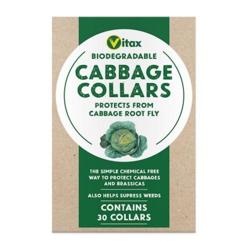30 Biodegradable Cabbage Collars – Protects Brassicas from Cabbage Rot Fly - Picture 1 of 5