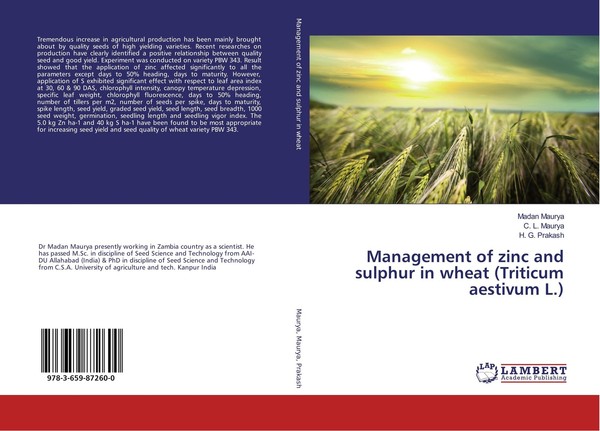 Management Of Zinc And Sulphur In Wheat (Triticum Aestivum L.) Madan Maurya-image