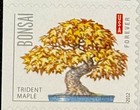 2012 USPS Bonsai Trees Forever Stamps Strip of 5 Mint Scott 4618-4622 — photo 5
