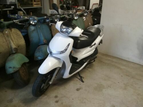 Burnout QS50 GS Motorroller 50 Ccm – Adventure-Design, EFI Euro 5, LED, 45 Km/h, Schwarz