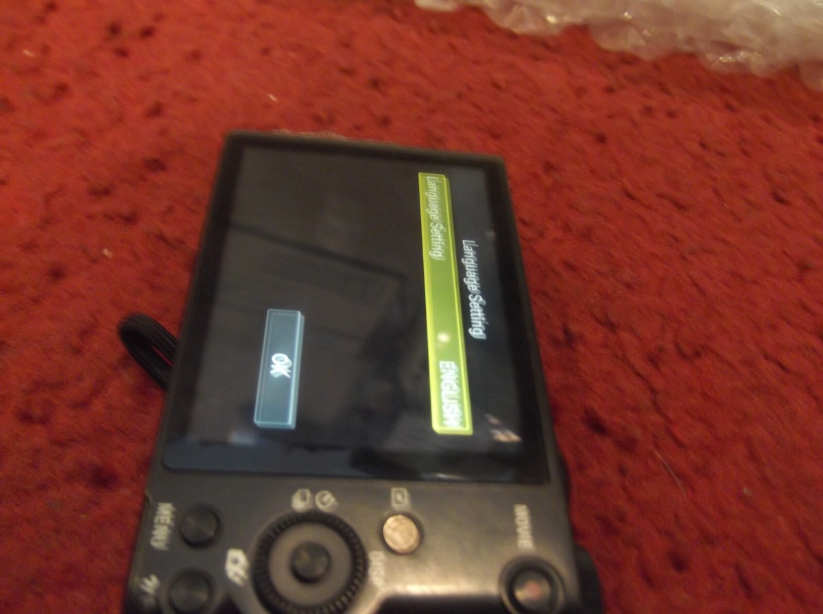 Sony Cyber-Shot DSC-WX300 18.2MP 20x Wi-Fi Digital Camera Sony Cyber-Shot DSC-WX300 18.2MP 20x Wi-Fi Digital Camera