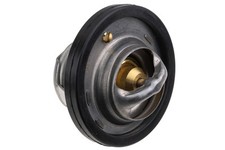Thermostat Lexus IS