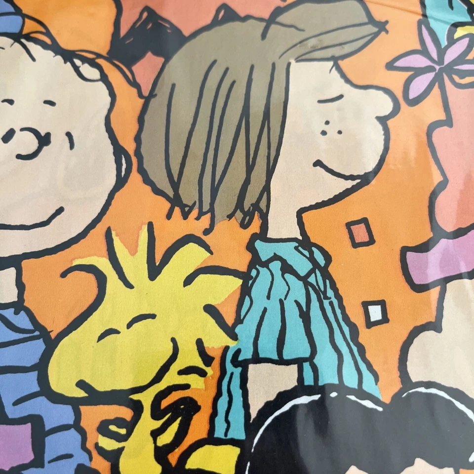 Hallmark Peanuts Charlie Brown Snoopy Regalo Cumpleaños Papel Envolvente 2x NUEVO DE COLECCIÓN LEER Foto 4 de 4