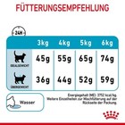 Bild 7 von 10
