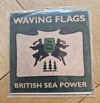 British Sea Power Waving Flags (CD) Single - DJ CD - promo cd - 2 track