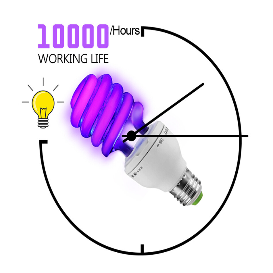 Cfl Light Bulbs Diagram