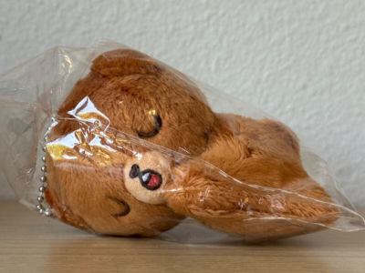 AUTHENTIC/NEW] NCT 127 DREAM HAECHAN (10cm 20cm) PLUSH DOLL GOMDO