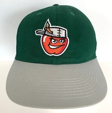 Fort Wayne TinCaps MiLB OC Sports Strapback Adjustable Baseball Hat Cap Clean
