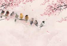 3D Floral Birds Wallpaprer Wall Mural Removable Self-adhesive Sticker142