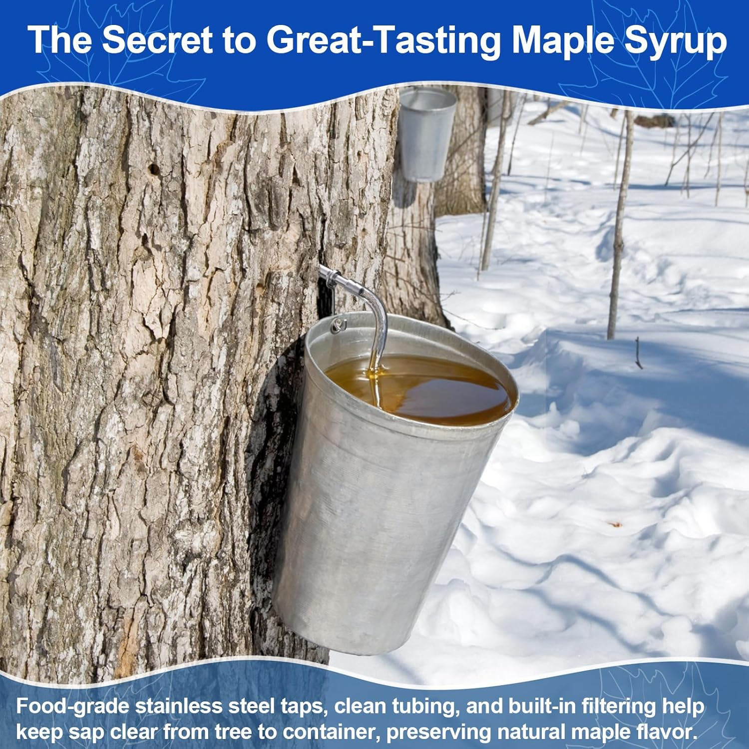 Maple Syrup Tapping Kit, (6 Set) Maple Tree Tapping Kit with Stainless ...