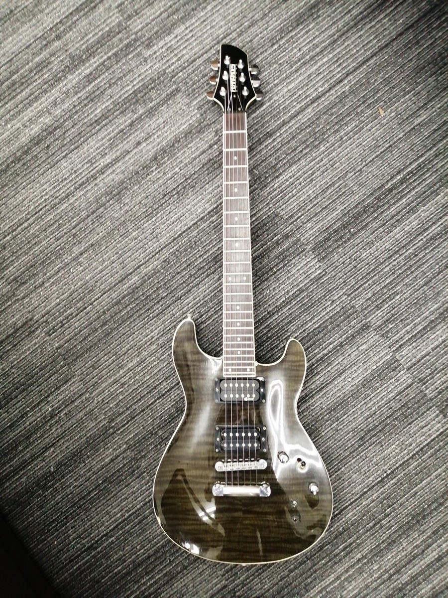 FERNANDES APG-55S Electric Guitar Black With Soft Case | eBay