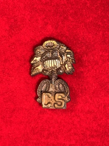 RARE CIVIL WAR CONFEDERATE ATTACHED SOUTH CAROLINA PALMETTO HAT PLATE