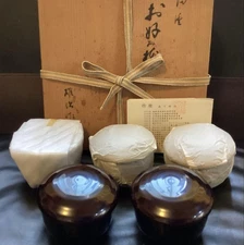 Echizen Lacquerware Made By Morishita Yuji Beautiful Okonomiyaki Bowl 5 Bowls