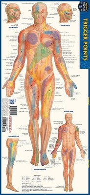 Trigger Points: a QuickStudy Laminated Anatomy Reference Guide